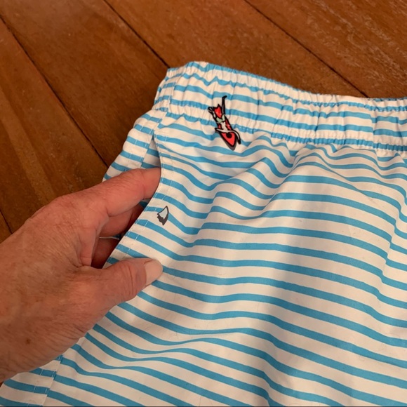 Boardies Blue and White Stripe Swim Trunks - Picture 6 of 12